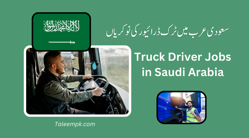 SAUDI ARABIA DRIVER SALARY visual data 6